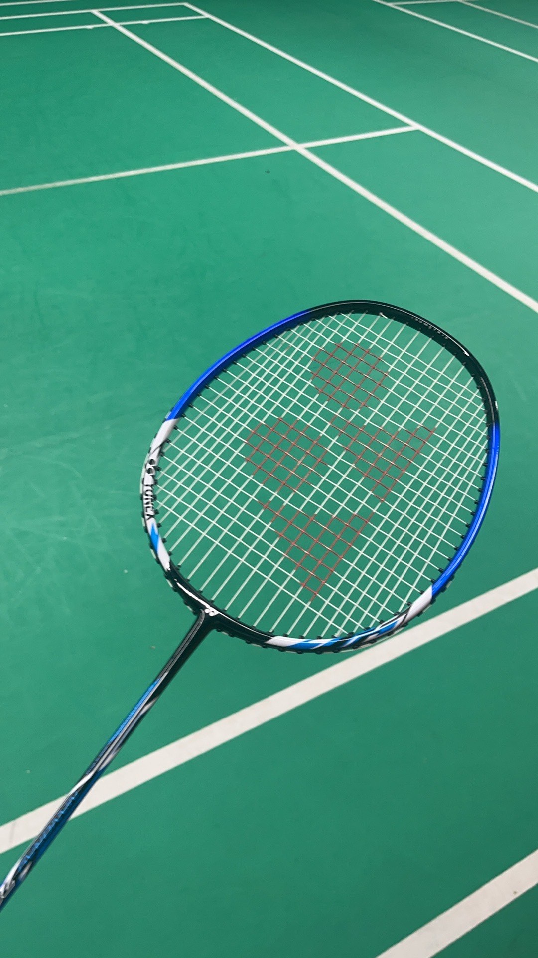 更揭示了它 更揭示了它