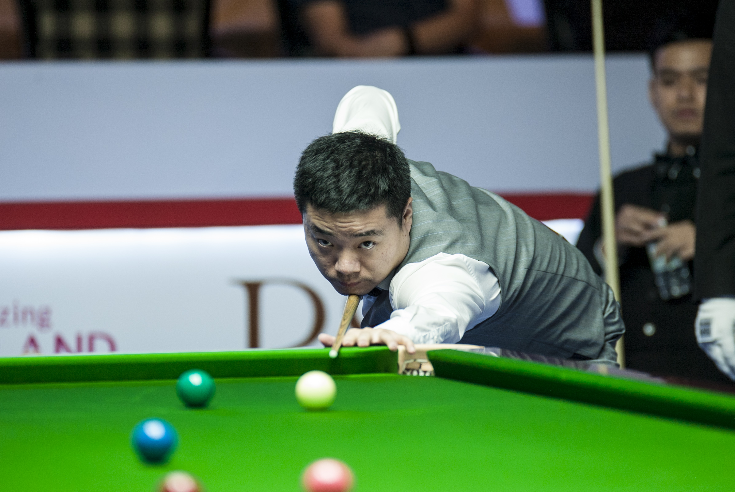 广东男篮公 广东男篮公